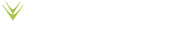 Viresco Solutions
