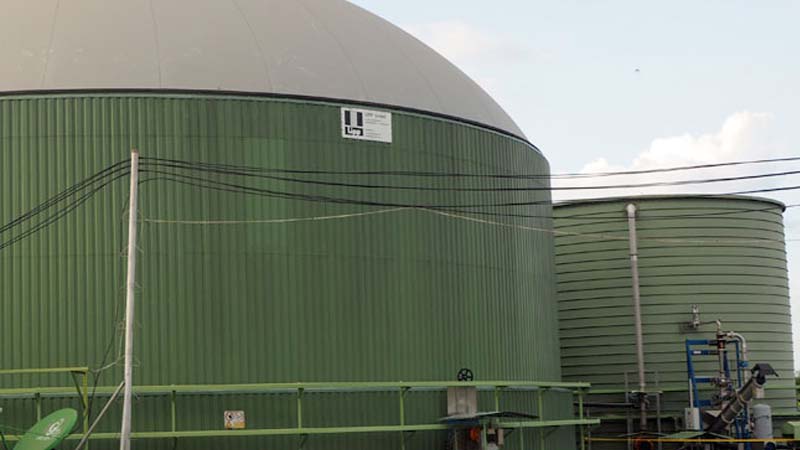 Alberta Biogas White Paper
