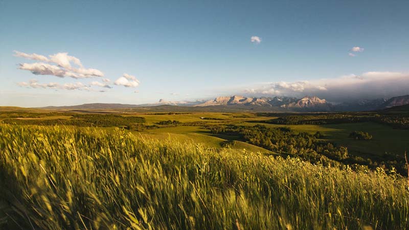 Possible Implementation Pathways for Wetlands and Grasslands as Carbon Management Tools: a Discussion Paper
