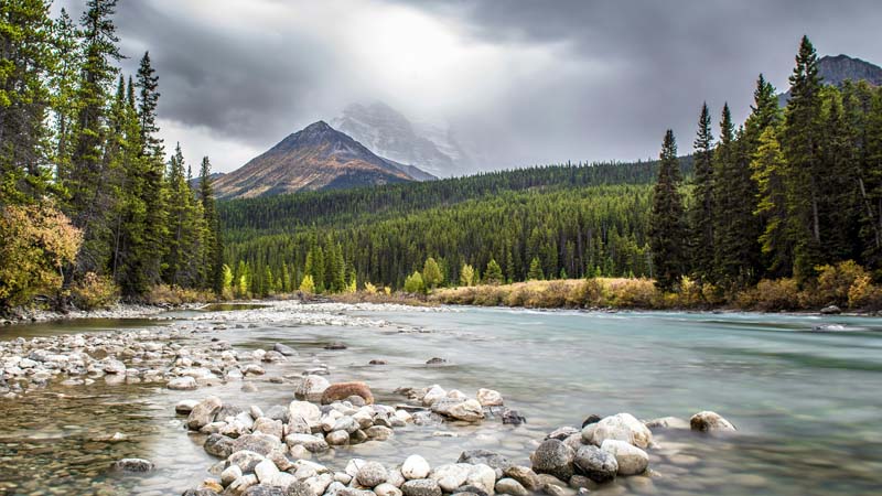 A Joint Venture From Canada's Leading Sustainability Experts